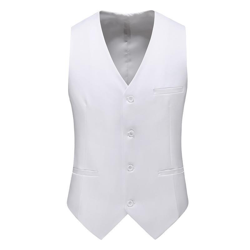 Gilet da uomo 19 colori tinta  - Men'S Used Formal Wear recensione e prezzo